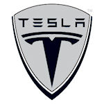 tesla motors CBOE and TSLA Fall