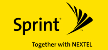 sprint nextel stock 9 Stocks to Watch